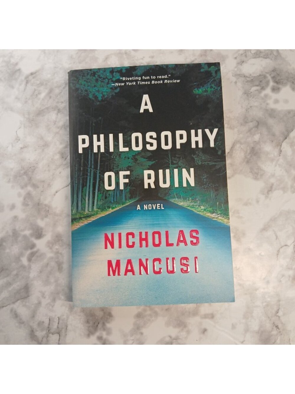 A Philosophy of Ruin by Mancusi, Nicholas